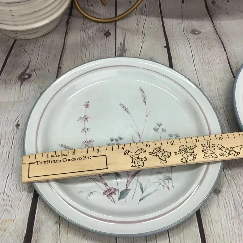 Noritake description primastone